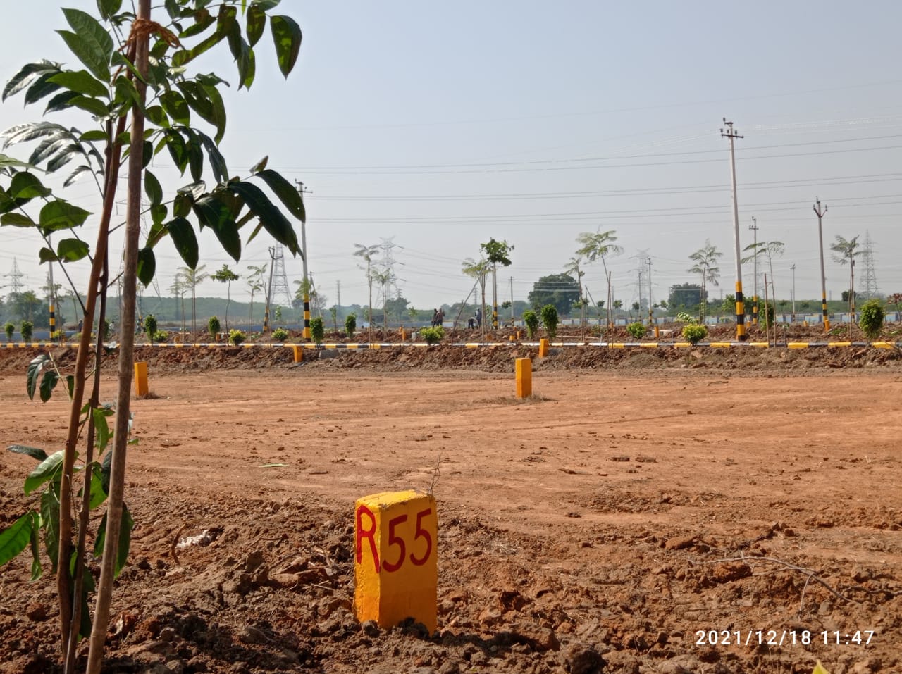 Gajwel Farms
